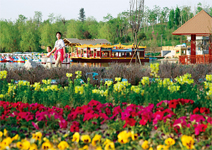 220公頃花海樹林，挑戰眼球極限