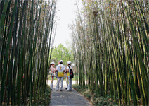 揚州園 僅千平方米，卻能容名山勝水