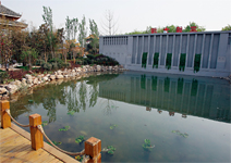 湖北園 被包圍在水霧中的園林