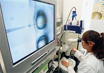 生命科學學群:研究領域廣泛，新一波台灣生技熱