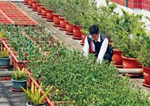 推動「低碳社區」， 擺平地方政治才順利