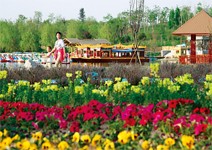 220公頃花海樹林，挑戰眼球極限