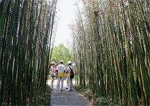 揚州園 僅千平方米，卻能容名山勝水