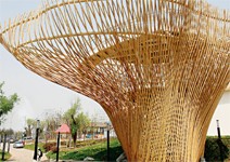 荷蘭展園 不秀風車，秀馬蒂蓮樓與陽光房