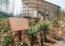 國際竹藤園 教育竹資源新利用