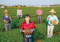 茶藝文化 引領全球風潮力