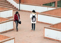 教授收入比小學老師差， 誰想在台教書？