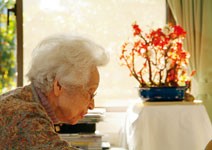 埃及 革命重創，第一季觀光業損失20億美元