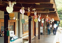 優質化加特色化，就近入學已達9成