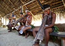 祕境奇遊正流行， 從瑪瑙斯勇闖亞馬遜