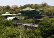 一晚500美元， 體驗最原始的奢華