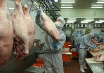 媲美台積電， 用無塵室處理肉品加工