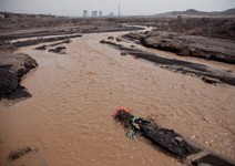 白襪出門黑襪回家， 麻雀也燻成烏鴉