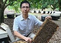 蜂農丟棄的雄蜂蛹，卻成了他的藍海事業