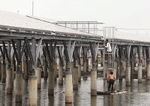 誰坑錢？太陽能電價優， 財團有利可圖？