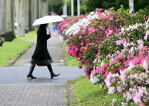 他們碩士畢業後， 都去做什麼工作？