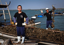 丟掉台大人身分，用腦賣蚵也能出頭天