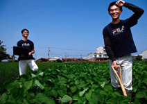 善用科技，讓農夫收入絕對不比上班族差