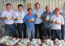 最道道地地的台灣產物才有生路