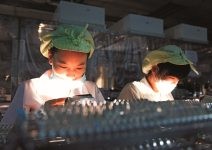 2013，看見黑暗盡頭的曙光