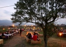 請赤腳入場， 吃頓與大地合一的饗宴