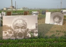 農田變展場、阿嬤是畫家，種田人的好美生活