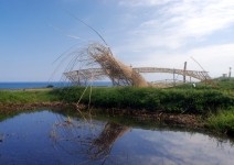 認養海稻米，收藏東海岸的部落故事