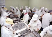鼎泰豐有多挑剔？深入中央廚房探究竟