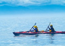 運動，賺到人生紅利