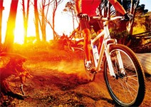 成人練習：運動改造人生