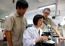 各校特色課程豐富，但經營方式不相同