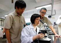 特招考試較會考難，適合學術傾向學生