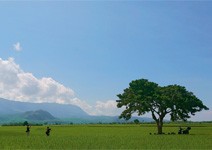 這裡更珍貴的是－池上Style生活美學