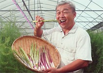 科技一出手，小農就不必再看天吃飯