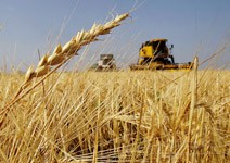 農糧投資長期走俏 頁岩氣動搖原油地位