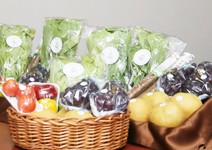 基因改造的利弊，國際爭議愈演愈烈