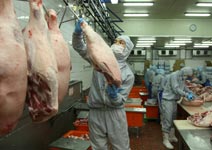 新興市場需求增，「人工肉」行情看俏