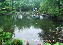 與大自然和平共處，蛙鳴鳥叫真愜意
