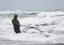 產業萎縮╳生態浩劫，台灣鰻魚業搖搖欲墜