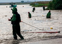 層層網架、300艘船 布下天羅地網抓鰻苗