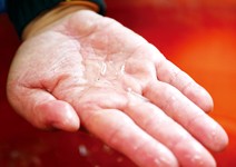 過三關才長得大，人為捕撈殺傷力最強