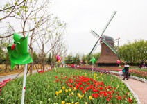 鬱金香造型椅，展現自然與工藝美感