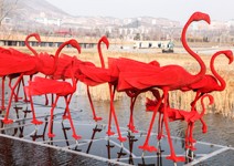 在角落遇見文化與自然的交會