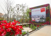 葡萄藤、啤酒園 感受德國家常生活樣貌