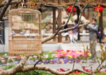 回歸人文精神，循歷史腳步細品生活況味