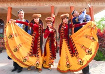 重現大漠風情，千年胡楊遠道八千里而來