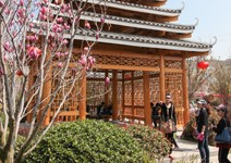 必看9米侗族鼓樓，聽劉三姐傳唱經典