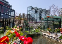 山林間的玻璃屋，引景入室愜意遊