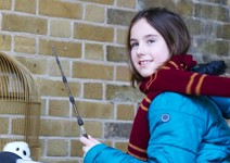 亞洲國家崛起，國際主題樂園紛進駐