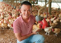 工研院「架梯」救傳產，把廢雞血變金雞母